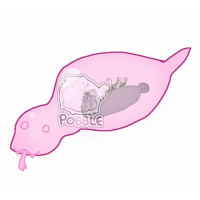 POB-028