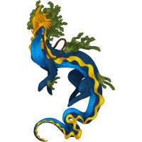 Thumbnail for CB-069: Cervabloom MYO