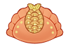 Fishtail Dumpling