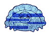 Pixelshift Dumpling